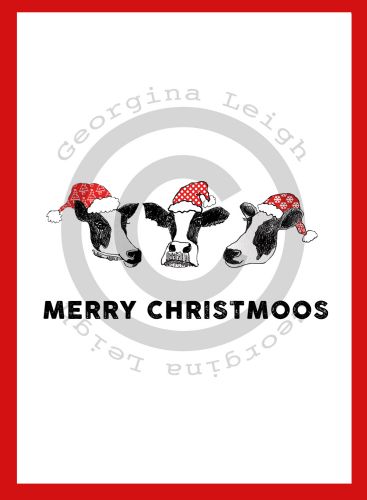 Cows Christmas Card